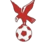 https://img.jingtongsl.com/img/football/team/4802d26df935b78bb2fcdbbff36e8864.png