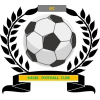 https://img.jingtongsl.com/img/football/team/6dc6d59af2f0962597b412473a6708ee.png